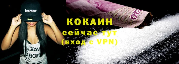 соль ск Кукмор