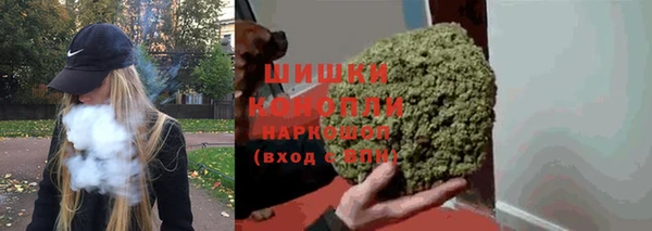 соль ск Кукмор