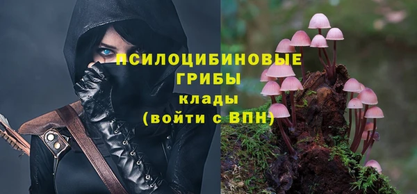 PSILOCYBIN Лагань