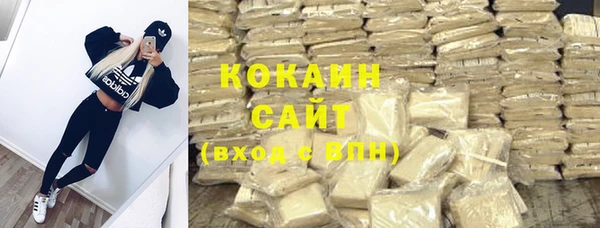 соль ск Кукмор